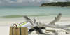 Dian Bay Resort & Spa 